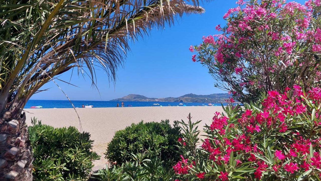 Sur La Plage, Super Studio Avec Vue Sur La Mer Plage dʼArgelès Екстериор снимка