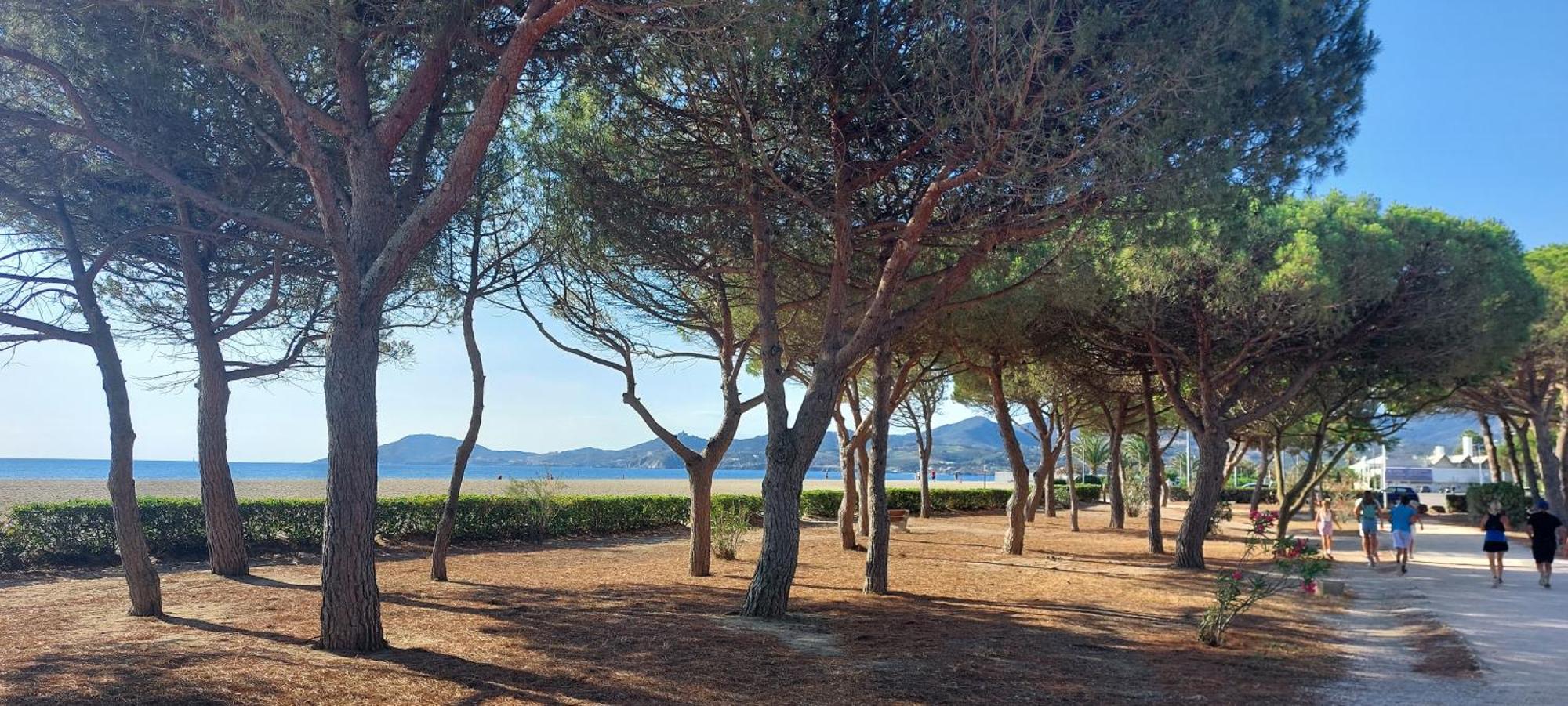 Sur La Plage, Super Studio Avec Vue Sur La Mer Plage dʼArgelès Екстериор снимка