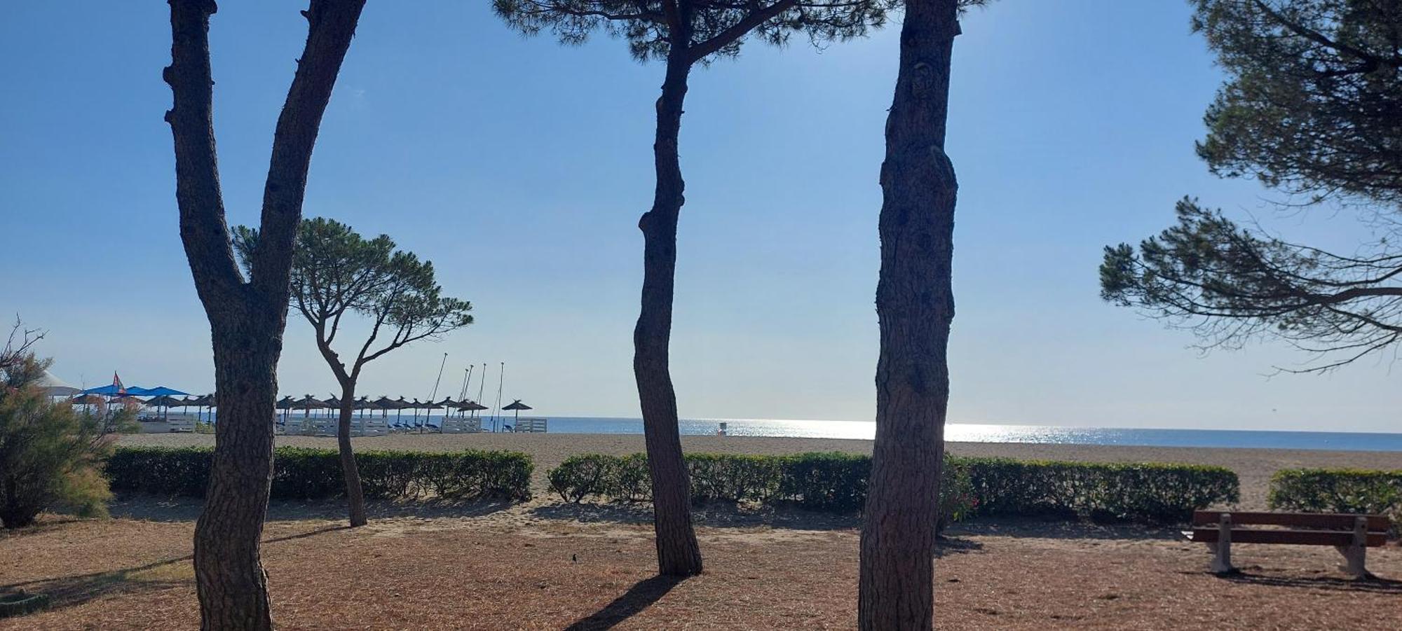 Sur La Plage, Super Studio Avec Vue Sur La Mer Plage dʼArgelès Екстериор снимка